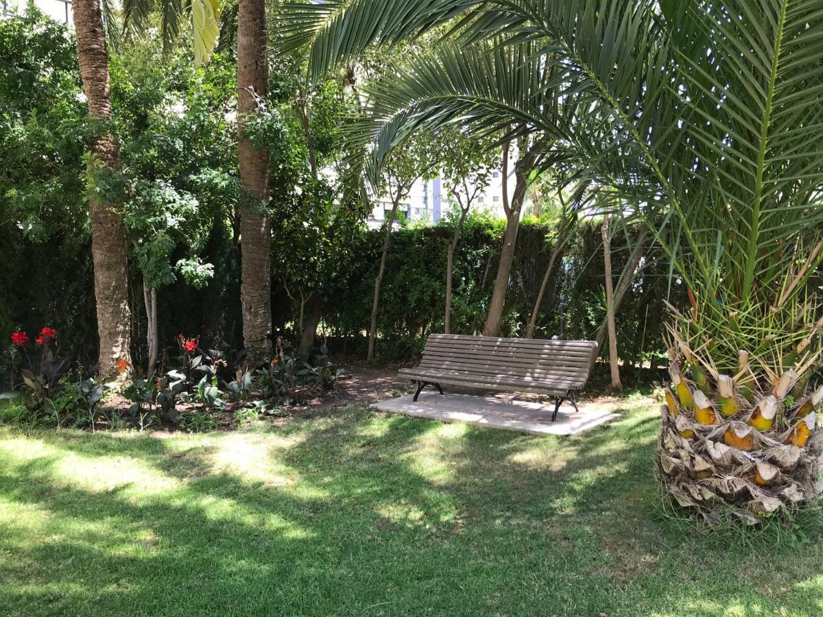 Apartamento Coffee Beach En Parque Europa เบนิดอร์ม ภายนอก รูปภาพ